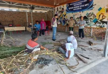 Sertifikasi KSB Perkuat Ketahanan Pakan Ternak di Lampung