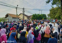 Rayakan HUT Ke-27, Kabupaten Way Kanan Gelar "Jalan Sehat"