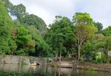 Jejak Kehidupan di Dam Margo Tirto