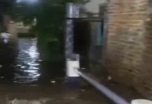 Banjir Bandar Lampung Momentum Perbaikan Tata Kelola Lingkungan dan Kota