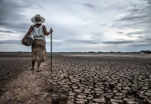El Niño Kembali Ini Langkah yang Harus Dilakukan