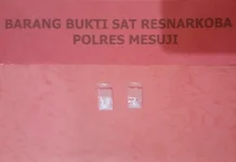 Sat Narkoba Mesuji Amankan Pelaku dan Barang Bukti Sabu di Simpang Pematang