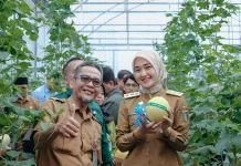 Wagub Panen Raya Melon di Natar