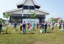 HUT ke-65, Hutama Karya Tanam Pohon di Seluruh Tol yang Dikelola