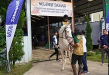 Ratusan Peserta Ramaikan Horseback Archery League 2026 Lampung