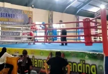 Pertina Lampung Dorong Regenerasi Atlet Tinju Berprestasi Nasional