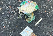 Petugas Lapas Way Kanan Gagalkan Penyelundupan Narkoba ke dalam Lapas
