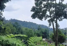 Lembah Air Voda, Wisata Alam Nan Sejuk