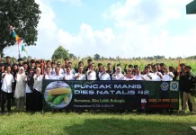 Dies Natalis ke-42, Polinela Sukses Gelar Panen Raya Jagung Manis Perdana