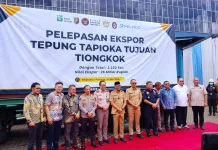 PT Intan Group Bidik Pasar Global Baru Lewat Tapioka Lampung