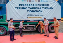 Lampung Ekspor Perdana 3.330 Ton Tapioka ke Tiongkok, Perkuat Hilirisasi Singkong