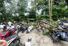 Unila Bantu Perbaikan Kendaraan Mahasiswa Terdampak Pohon Tumbang