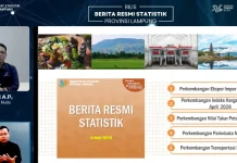 Neraca Perdagangan Luar Negeri Lampung Maret 2026 Surplus 263,20 Juta Dolar AS