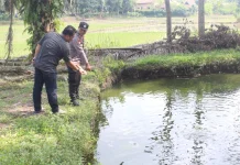 Diduga Terpeleset, Bocah di Pringsewu Tewas Tenggelam di Kolam Ikan