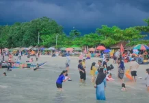 Sektor Pertanian hingga Pariwisata Dorong Lonjakan Ekonomi Lampung
