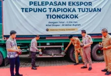 Inflasi Terendah di Sumatra, Ekonomi Lampung Solid Ditengah Tantangan Global