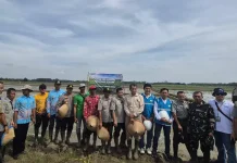 Listrik Andal Dukung Panen Modern Petani Lampung