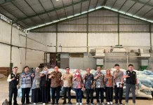 Lampung Dorong Hilirisasi Indigofera untuk Kemandirian Pakan Ternak