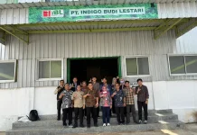 Indigofera Berpotensi Jadi Pengganti Bungkil Kedelai Impor