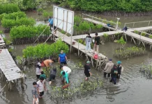 Kampus dan Konsultan Bahas Restorasi Kawasan Pesisir