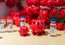 Dinkes Lampung Pastikan Belum Ada Kasus Hantavirus