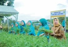 PKK Lampung Targetkan Perluasan Program Desa Tapis di 15 Kabupaten