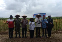 Polres Mesuji Panen Jagung Bersama Petani Berasan
