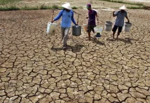 Antisipasi Dampak El Nino, BPBD Lampung Perkuat Koordinasi