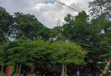 Wisata Pemandian Alami Sumber Agung, Tujuan Melepas Lelah