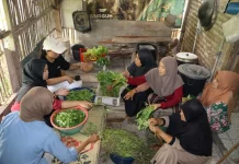 Lokakarya Pangan Lokal Unila Libatkan Mahasiswa Internasional