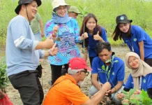 Mahasiswa KKN Unila Tanam Seribu Mangrove