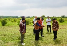 Itera PLN Kembangkan Biomassa Dukung Energi Hijau Nasional