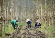 Perhutanan Sosial Lampung Dorong Warga Jaga Kelestarian Hutan