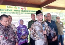 Dua Bayi Harimau Lahir di Lampung