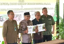 Harimau Sumatera Puspa dan Muli Sikop Jadi Harapan Baru