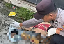 Jasad Anak Perempuan dalam Kardus Gegerkan Warga Katibung Lampung Selatan