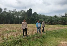 Polisi Dampingi Persiapan Lahan Jagung Gapoktan