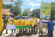 Anggota DPR RI Rycko Menoza Serahkan Bantuan Sapi Kurban