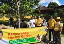 Rycko Menoza Serahkan Sapi ke DPD Partai Golkar Pesawaran
