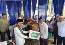Gubernur Lampung Serahkan Sapi Bantuan Presiden ke Masjid Raya Al-Bakrie