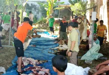 Rayakan Idul Adha, Masjid Nurul Yaqin Way Halim Permai Sembelih 31 Hewan Kurban