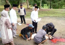 Pemkab Tubaba Sembelih 430 Kambing dan 6 Sapi Kurban