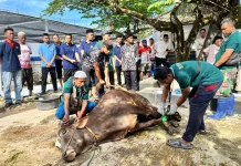 Rutan Bandar Lampung Sembelih 5 Sapi dan 2 Kambing pada Idul Adha