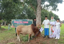 Momen Idul Adha, Polres Lampung Timur Kurban 7 Sapi dan 4 Kambing