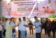 Polresta Bandar Lampung Salurkan Daging ke Warga dan Kaum Daufa