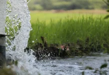 Lampung Dapat Alokasi 1.222 Irigasi Perpompaan dari Kementan