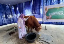 Penjualan Hewan Kurban di Lampung 2026 Mengalami Peningkatan