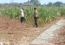 Dukung Ketahanan Pangan Nasional, Polisi Ajak Warga Olah Lahan agar Produktif