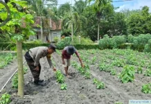 Bhabinkamtibmas Polsek Tanjung Raya Bantu Petani Desa Mekar Jaya