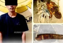 Polsek Seputih Mataram Amankan Pencuri Kelapa Sawit